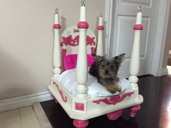 pet beds DIY upside down table allcreated