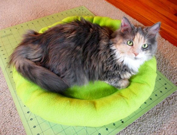 16 Cute And Comfy Pet Beds For Your Furry Friends