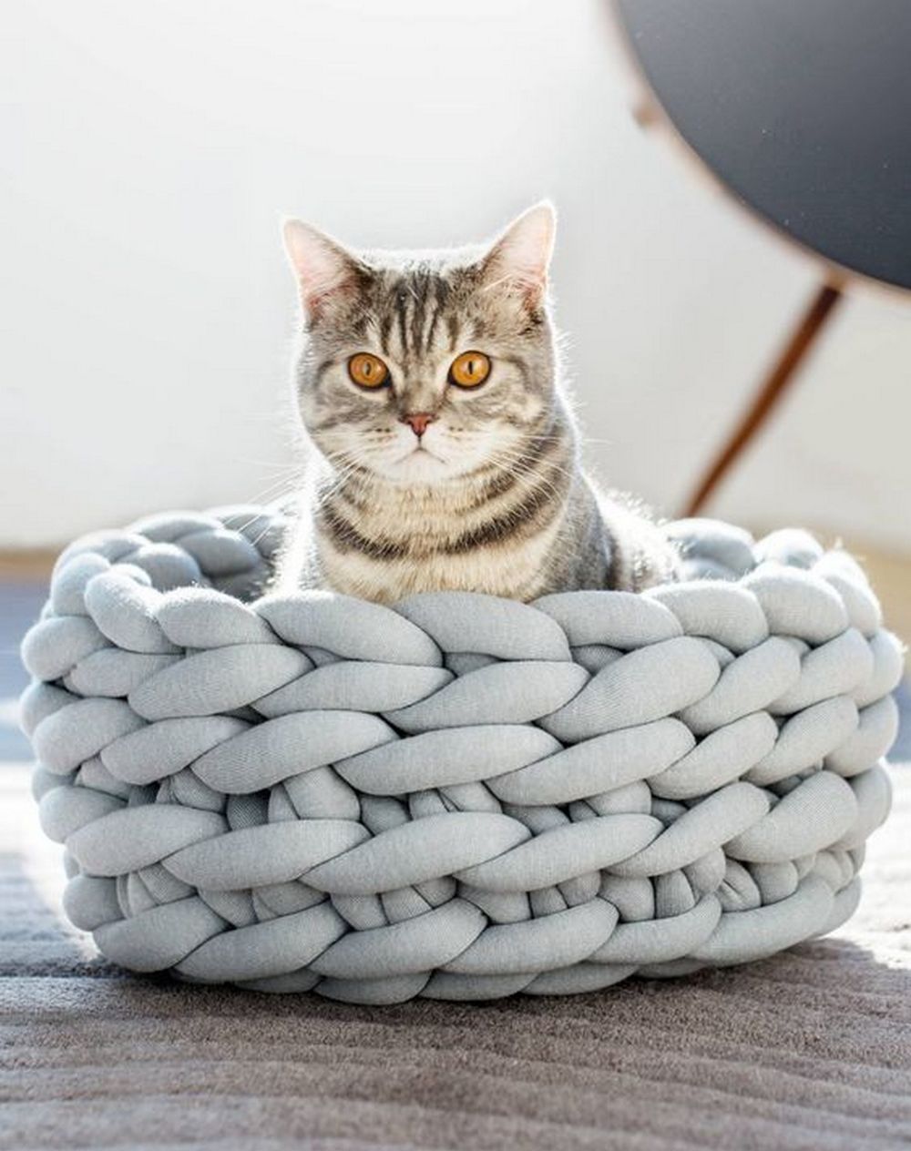 pet beds diy diy chunky knitted cat bed project.theownerbuildernetwork