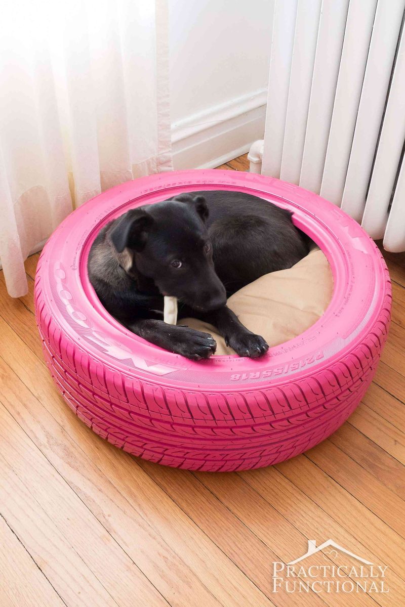 pet beds diy diy dog bed from a recycled tire practicallyfunctional