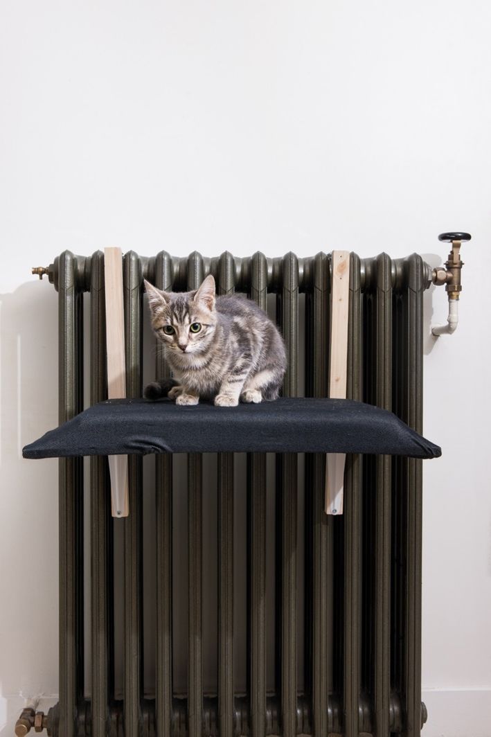 pet beds diy diy radiator cat be curbly