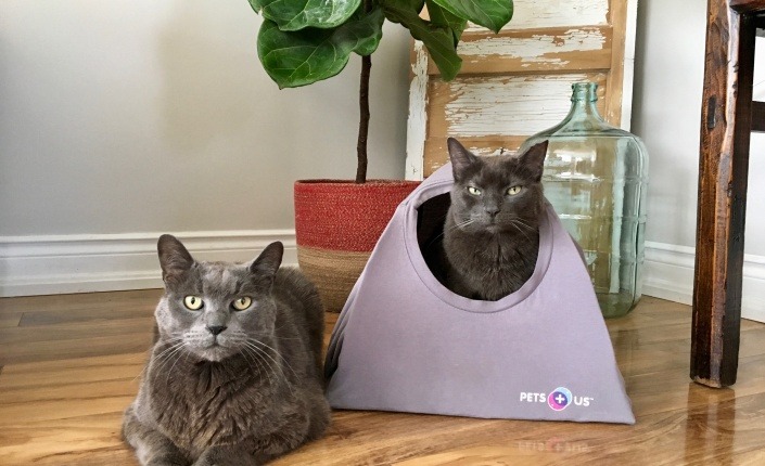 pet beds diyt shirt cat tent ht earcrissy