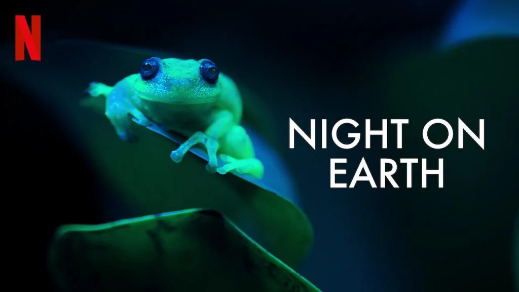 night on earth