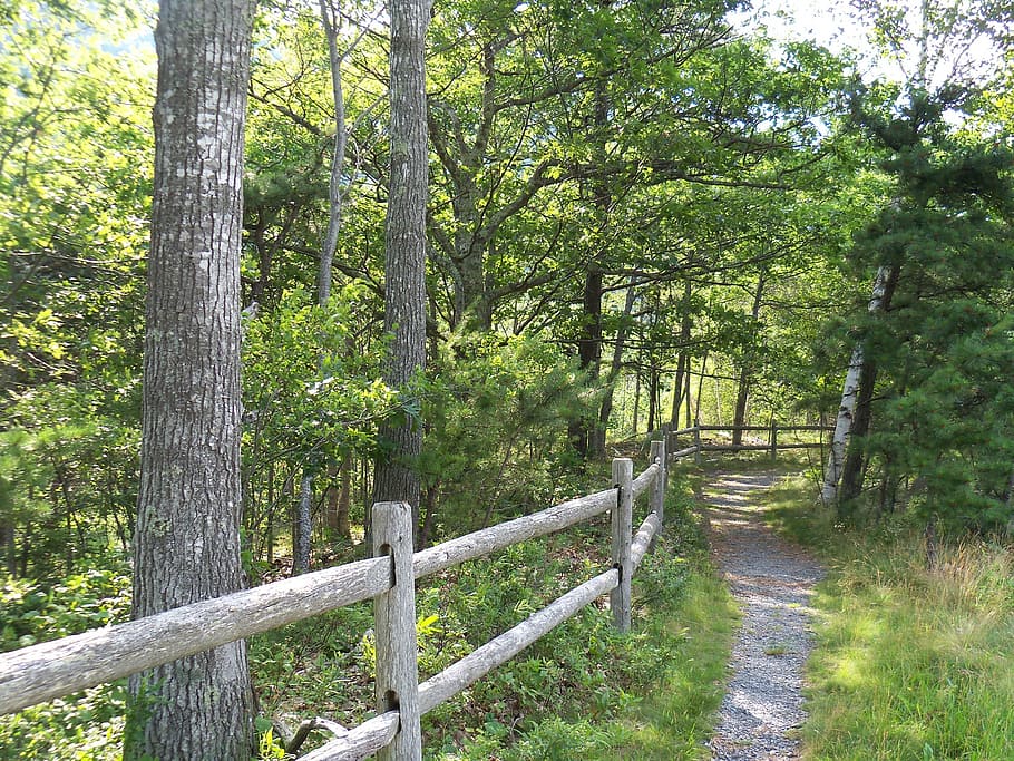 Walking trails