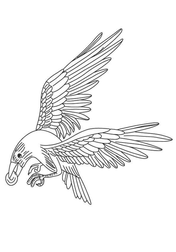Crow Coloring Pages