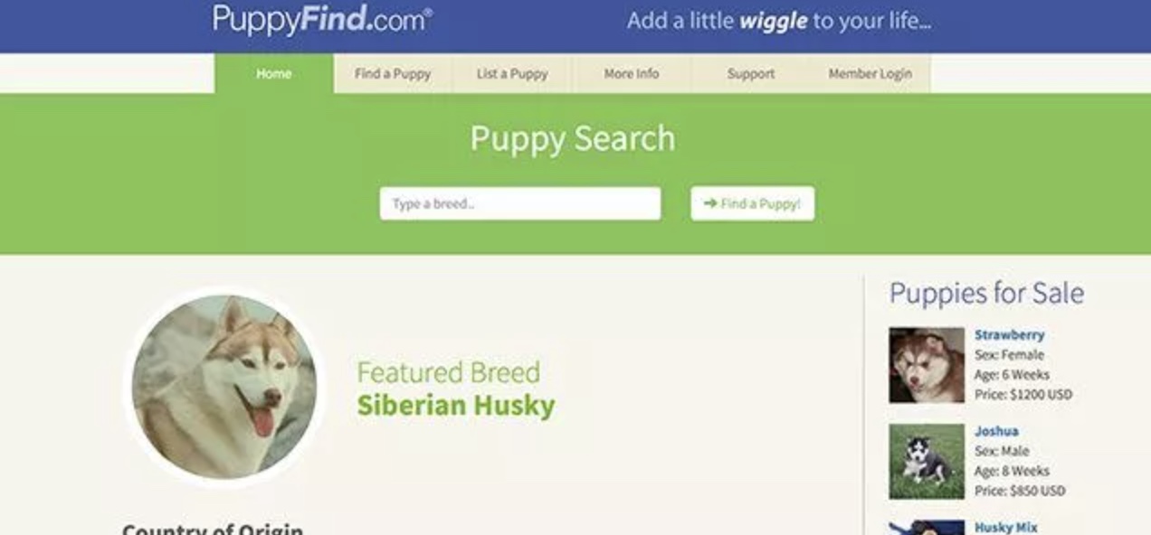 puppyfind website