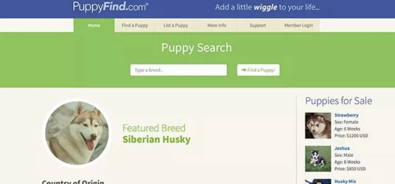 puppyfind website