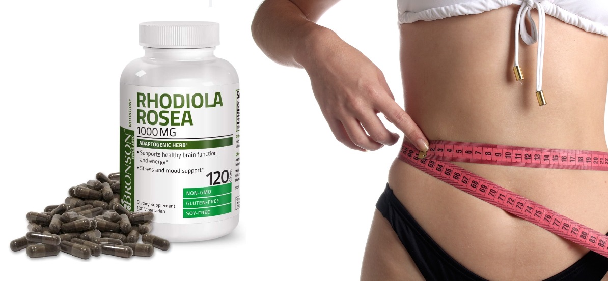 rhodiola for weight loss