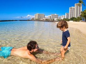 Things To Do In Honolulu With Kids