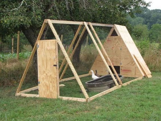 A-Frame Duck Enclosure Wirh Coop And Pool