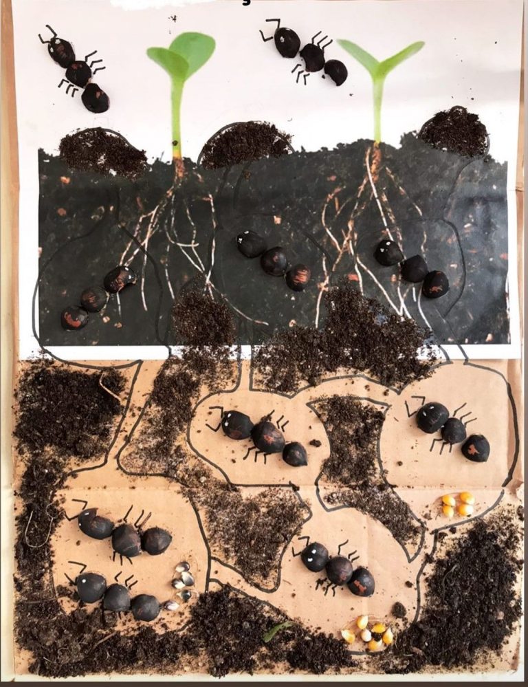 Insect Crafts For Preschoolers: Fun and Easy DIY Projects for Little ...