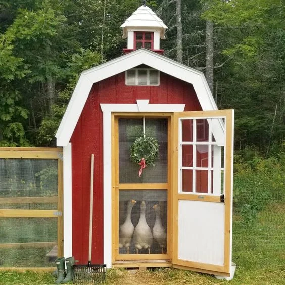 Barn Style Duck Enclosure