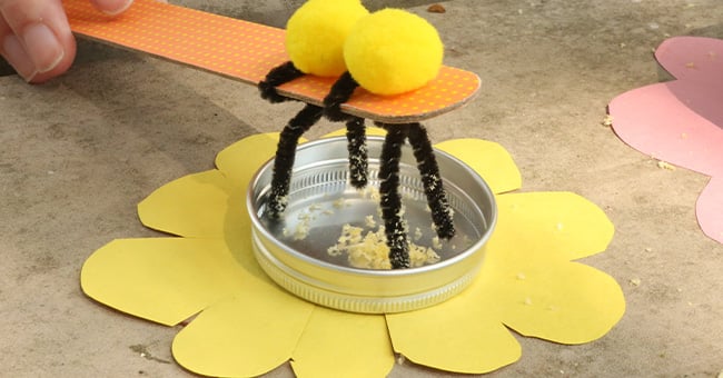 Bee Pollination With Chenille Stems And Craft Sticks