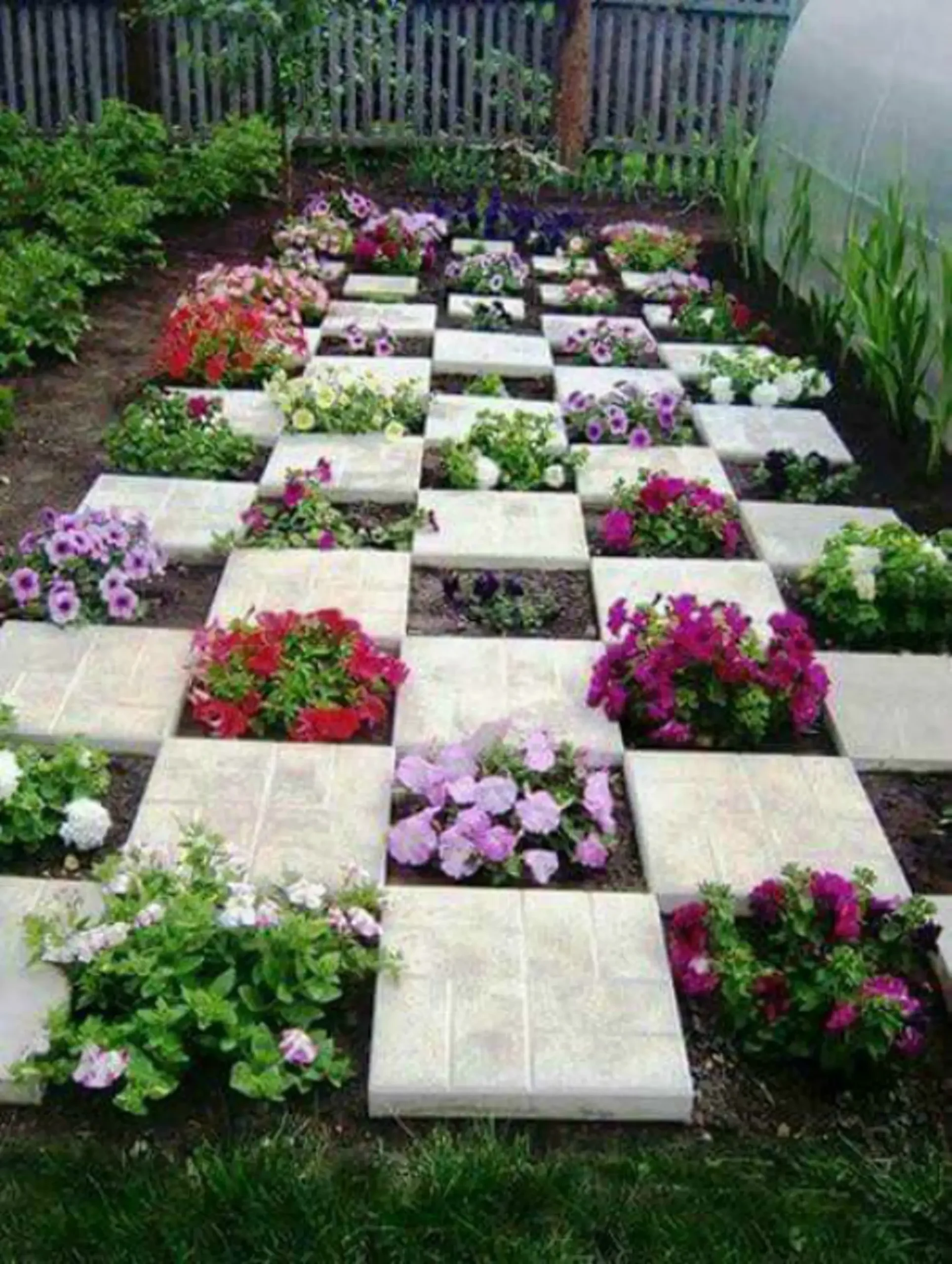 Checkered Board Garden With Steping Stones