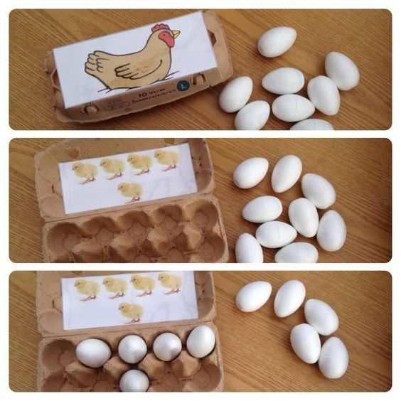 Cunting With Eggs And Egg CArtons