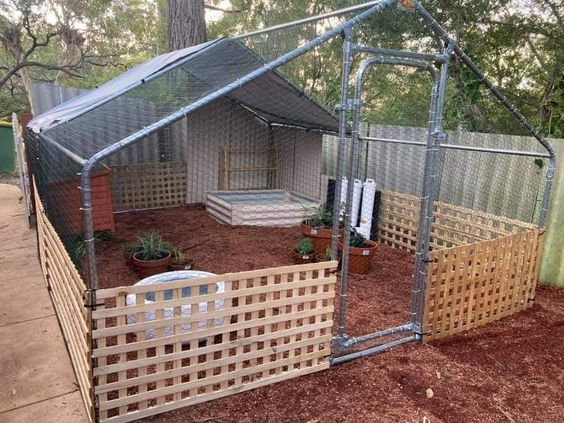 House Shaped Enclosure With Chicken Wire And Trellis With Pool