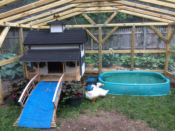 Raised Two-Story Duck House With Porch And Duck Pool In Wood Construction Enclosure