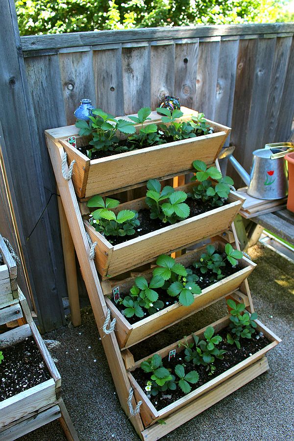Tiered roped-On-Ceder Planter Box