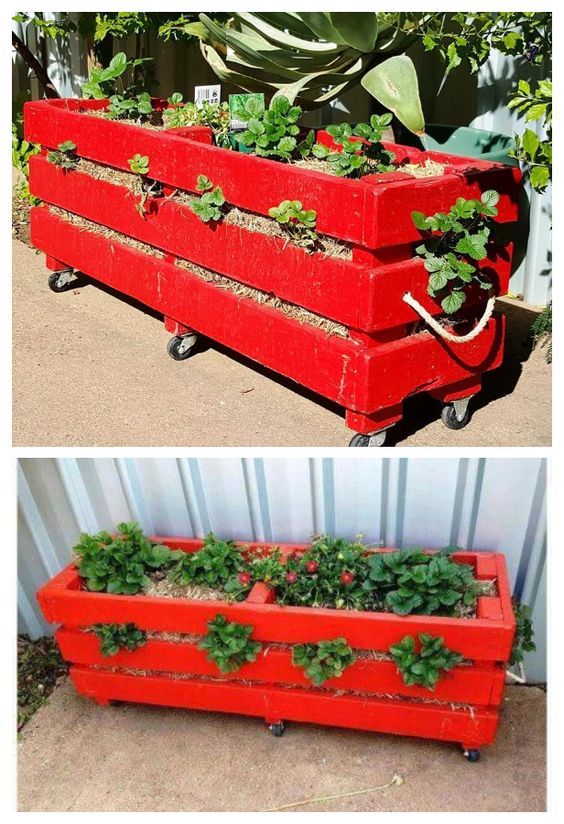 Vertical Pallete Strawberry Planter on Wheels