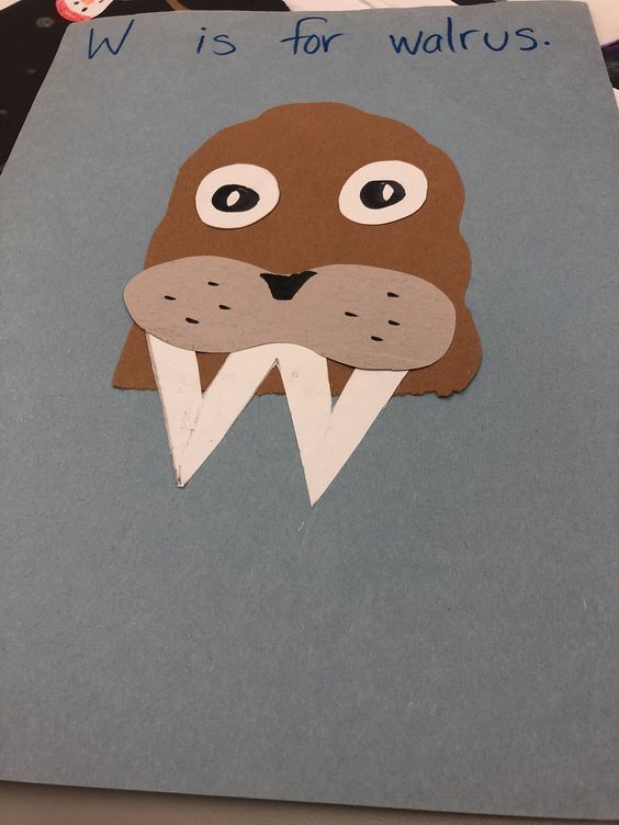 Walrus With W Tusks