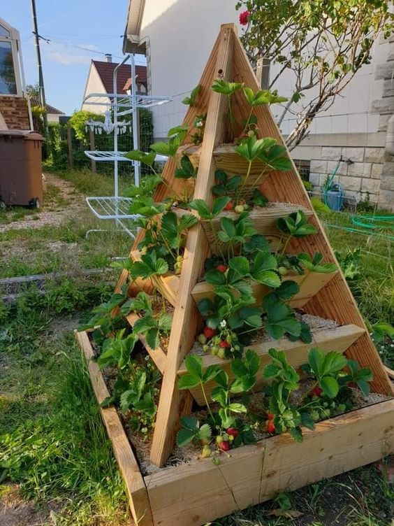 Wooden Pyramid Strawberry Tower