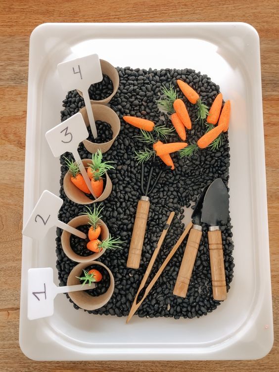 carrot garden sensory bin