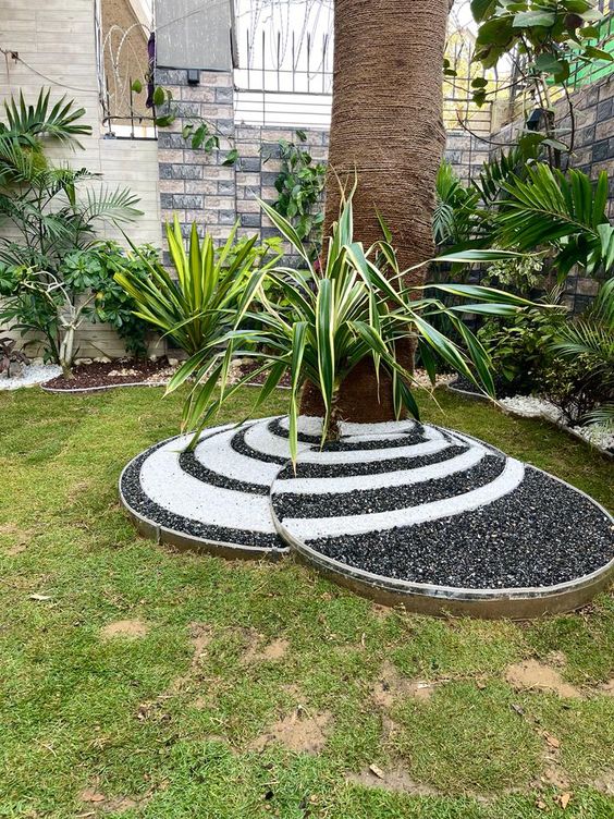 Black And White Striped Flower Bed