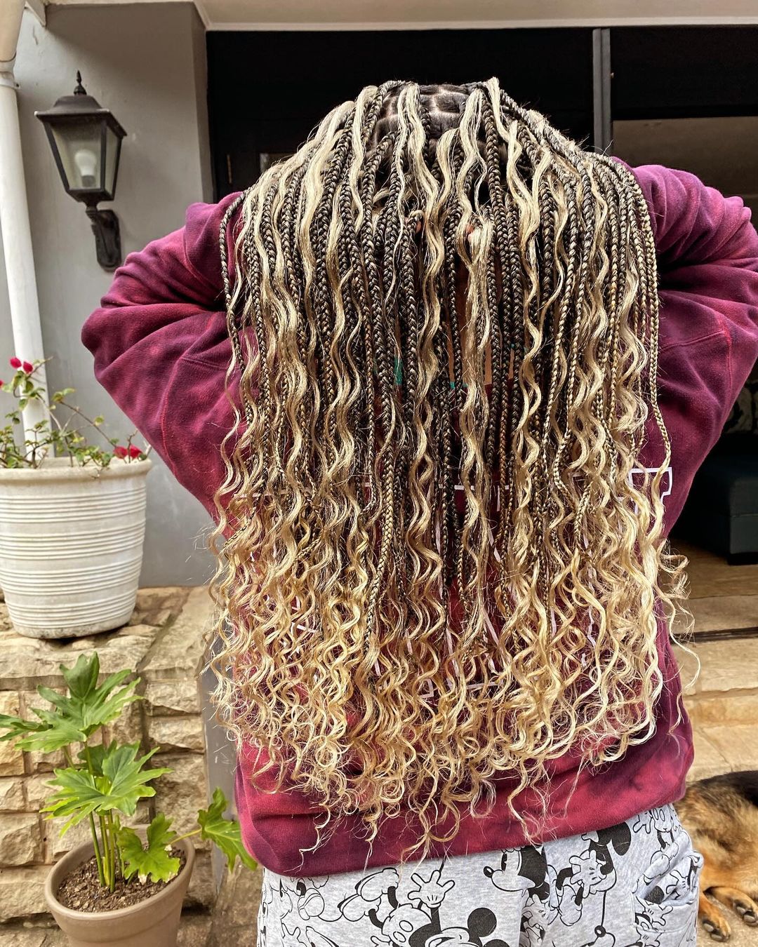 Dark Brown With Blonde Boho Knotless Braids