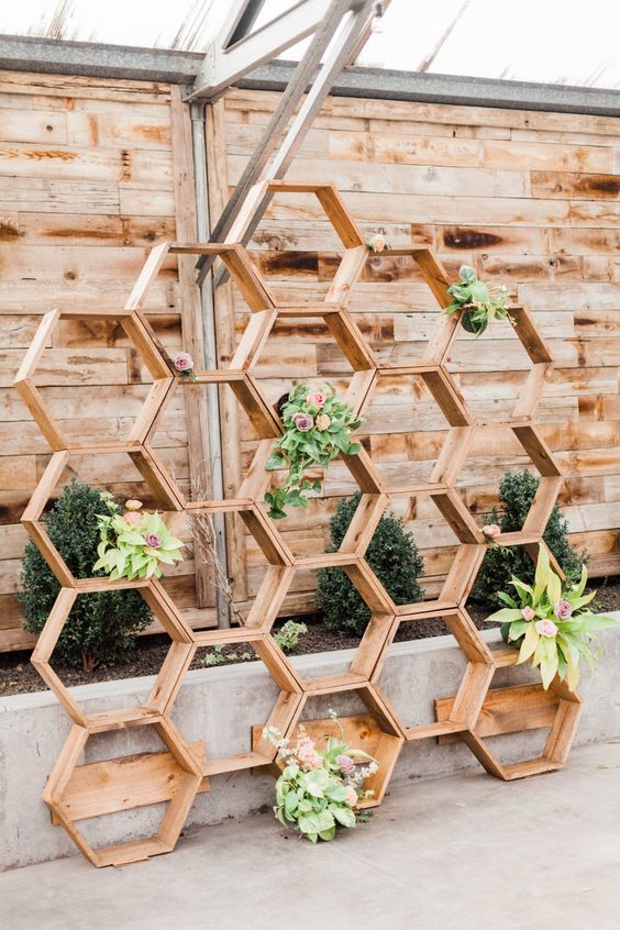 Hexagon Shelves And Flowers Backdrop