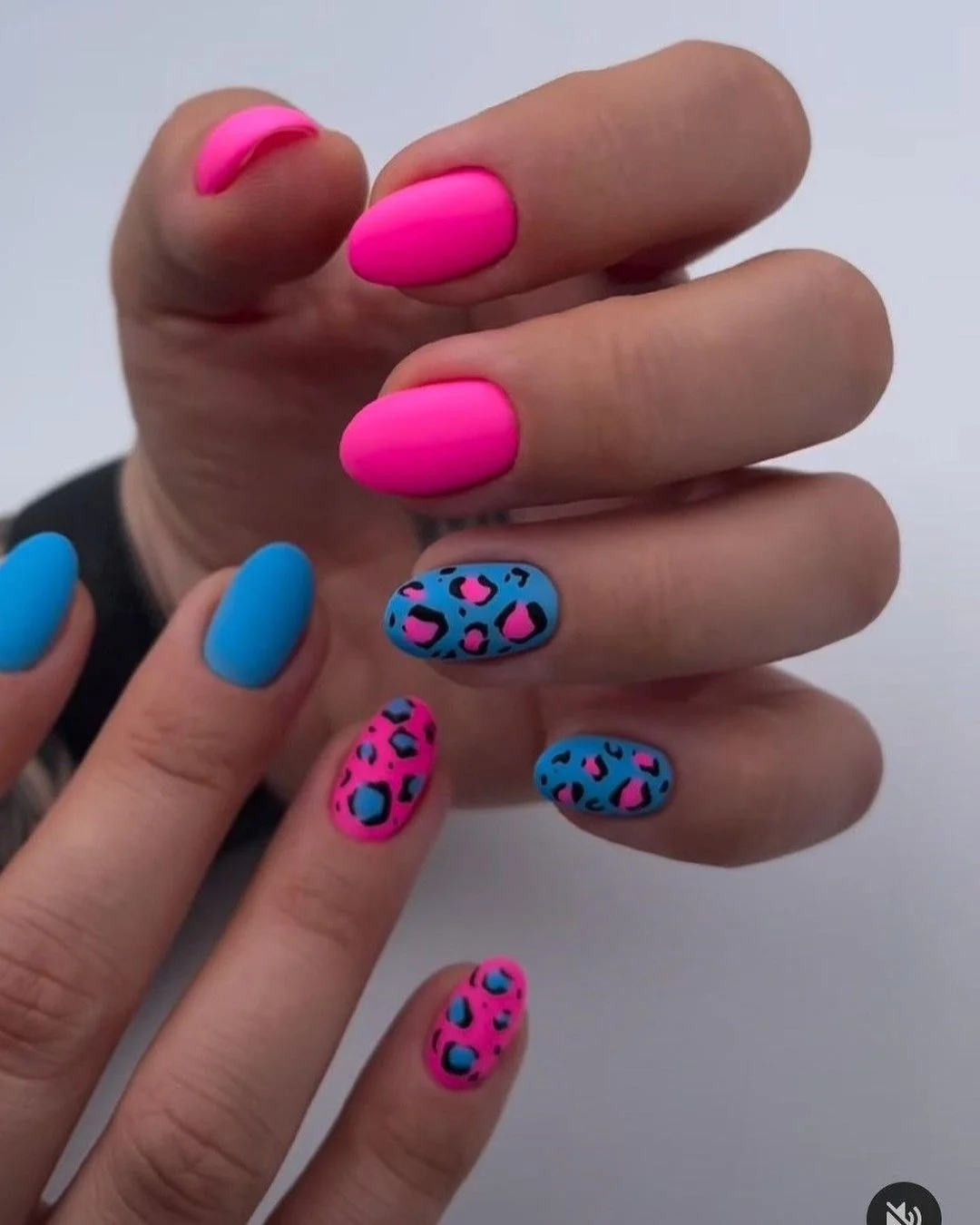 Neon Pink And Deep Blue With Leopard Pattern
