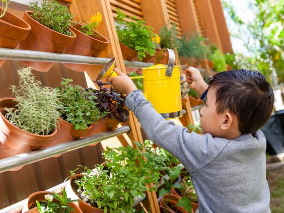 Herb Garden