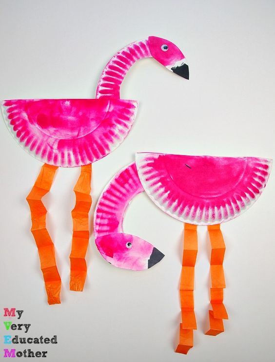 Flamingos