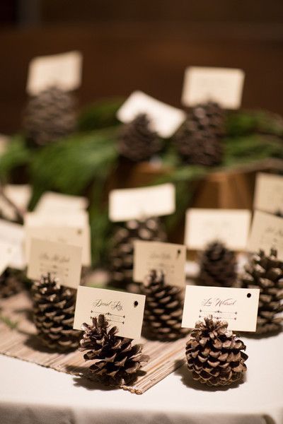 Pinecone Name Holders