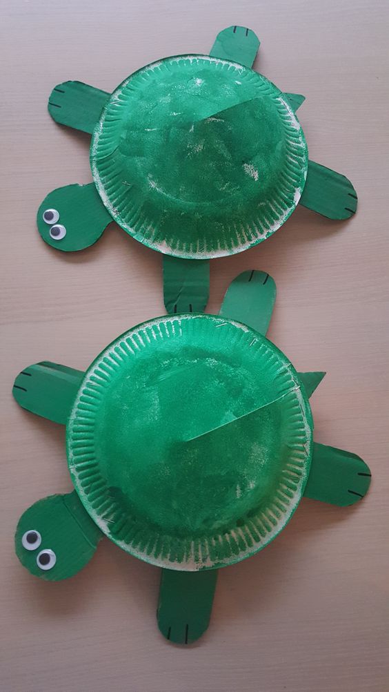 Turtles